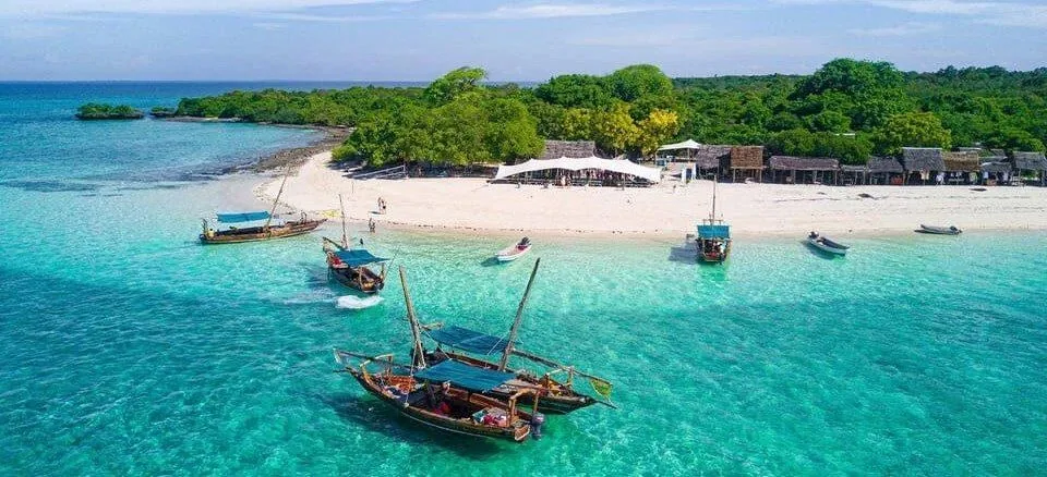 Zanzibar beach and traditional dhow boats
