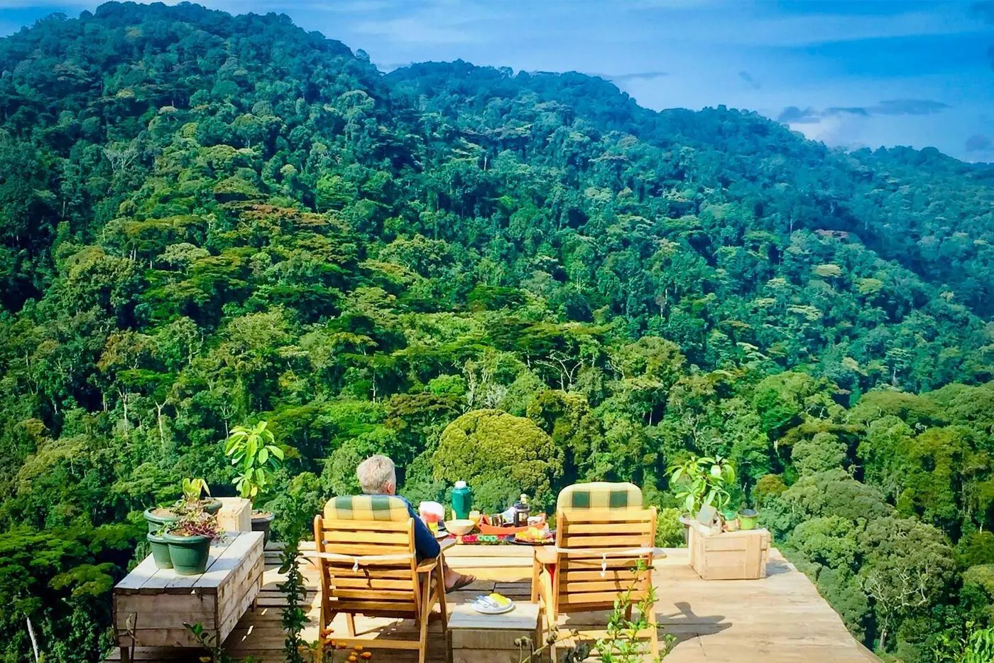 Bwindi Impenetrable Forest canopy view